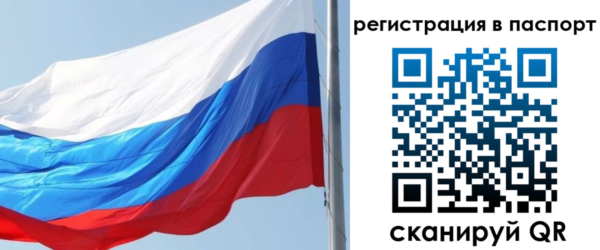 прописка законно в Борзе